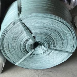 Dây đai bẹ xanh biển