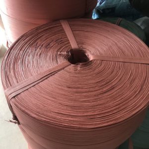 Dây Đai Bẹ Xanh , Đỏ